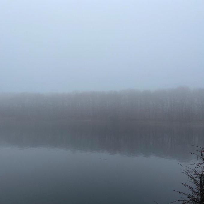 See im winterlichen Nebel