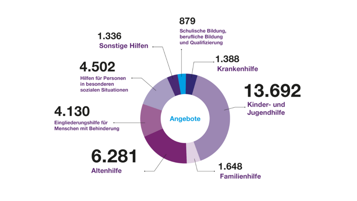 Grafik zur Anzahl der Angebote der Diakonie nach Arbeitsfeldern
