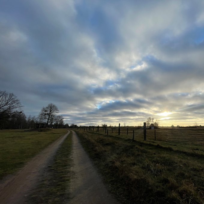 ein feldweg mit Sonneuntergang