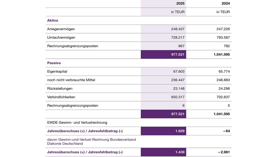 Auszug aus der Bilanz des Evangelischen Werks für Diakonie und Entwicklung e. V. zum 31.12.2025